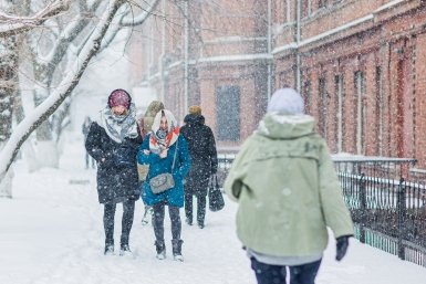 Парки закрывают в Подмосковье из-за снегопада
