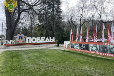 Прокуратура запретила предпринимателю рубить деревья в парке Победы Ессентуков Прокуратура Ставрополья