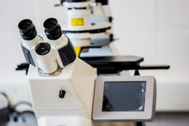 Хакатон по ветроэнергии пройдет в Подмосковье с 11 мая