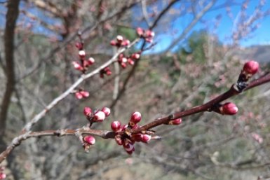 Майские праздники предложили продлить на 3 дня: как будем отдыхать теперь