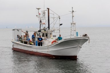 Объявлены летние тарифы на речной транспорт с 1 мая в Москве