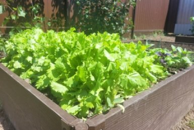 Тематическое фото EAOMedia