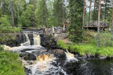 В Подмосковье леса начали активно просыпаться после зимы