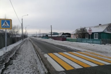 Зебра Анета  Абрамченко, ИА ChitaMedia