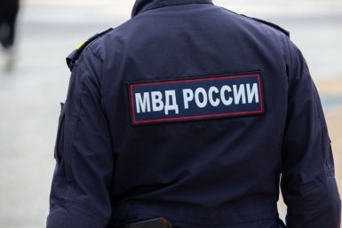 Полиция возбудила уголовное дело после жестокого убийства котят в Светлограде ИА Stavropol.Media