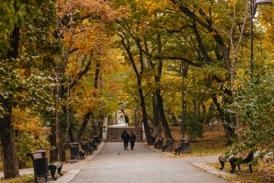 Число парков в Подмосковье выросло почти в десять раз за пять лет