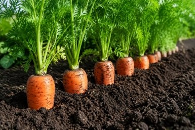  Сгенерировано ИИ