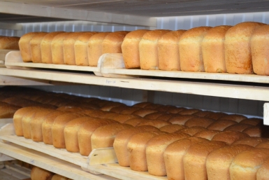 Производителям важных продуктов питания могут снизить тариф на электроэнергию Марина  Померанцева , ИА EAOMedia