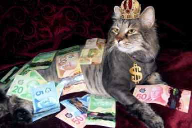 Июльский джекпот: 3 знака зодиака, которым звезды сулят денежный сюрприз