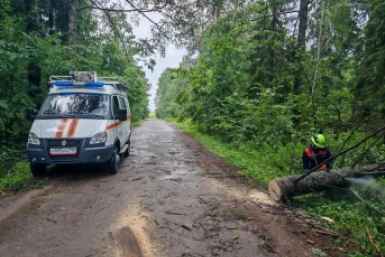 Упавшие деревья перекрыли выезд из деревни в Подмосковье после циклона