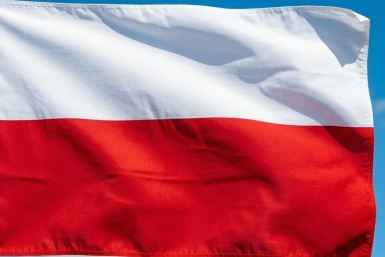 флаг сгенерировано нейросетью