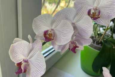 Тематическое фото KrasnodarMedia