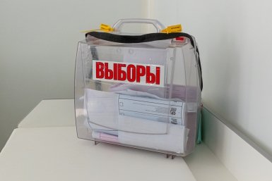 Выборы Мария Смитюк, ИА PrimaMedia.ru
