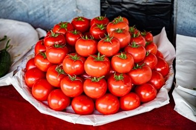 Тематическое фото ИА OmskMedia
