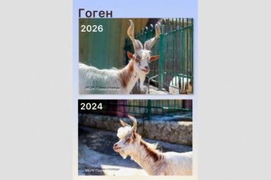 Коллаж из фото МБУК &quotПарки столицы&quot