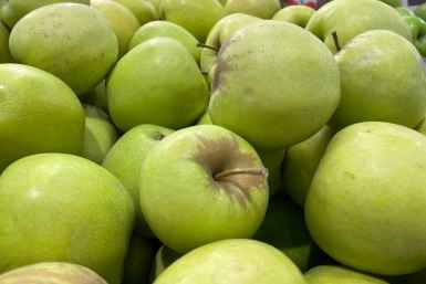 Но и выбрасывать все опавшие яблоки эксперт считает неразумным Мария Карева, ИА Stavropol.Media