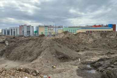ДРСК пожаловалась в прокуратуру на работы под ЛЭП пресс-служба АО &quotДРСК&quot