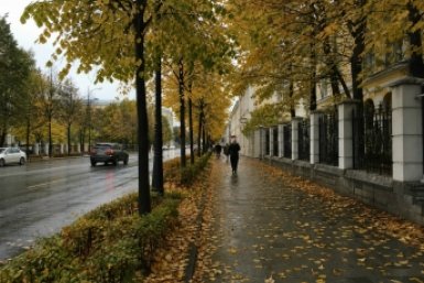 Тематическое фото Создано при помощи ИИ