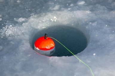 Тематическое фото Илья Аверьянов, ИА PrimaMedia.ru