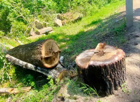 Новость дня