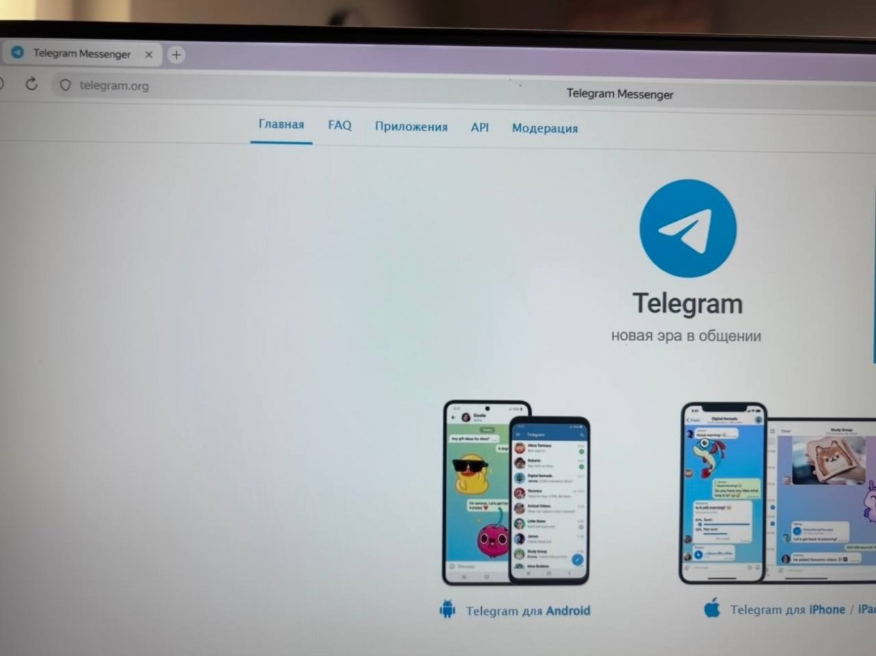 Telegram ИА StolicaMedia