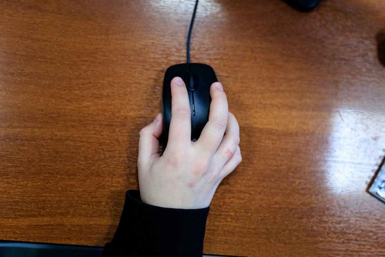 мышь, компьютер Евгений  Кулешов, ИА PrimaMedia.ru