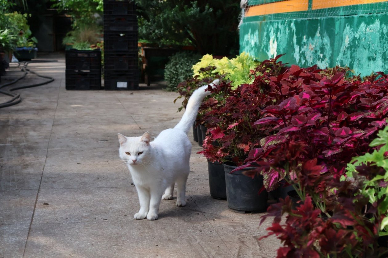 В начале марта в столице ожидается оттепель Александр Шепырев, ИА UssurMedia