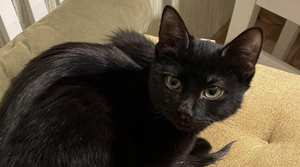 Тематическое фото Telegram / Спасатели СпасРезерв