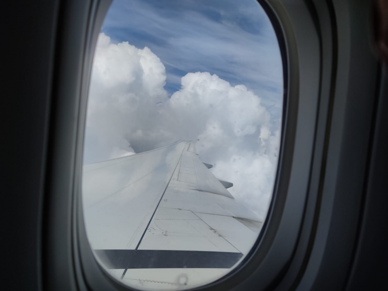 Электронный посадочный талон официально приравняют к бумажному ИА Stavropol.Media, Елена Гиневская