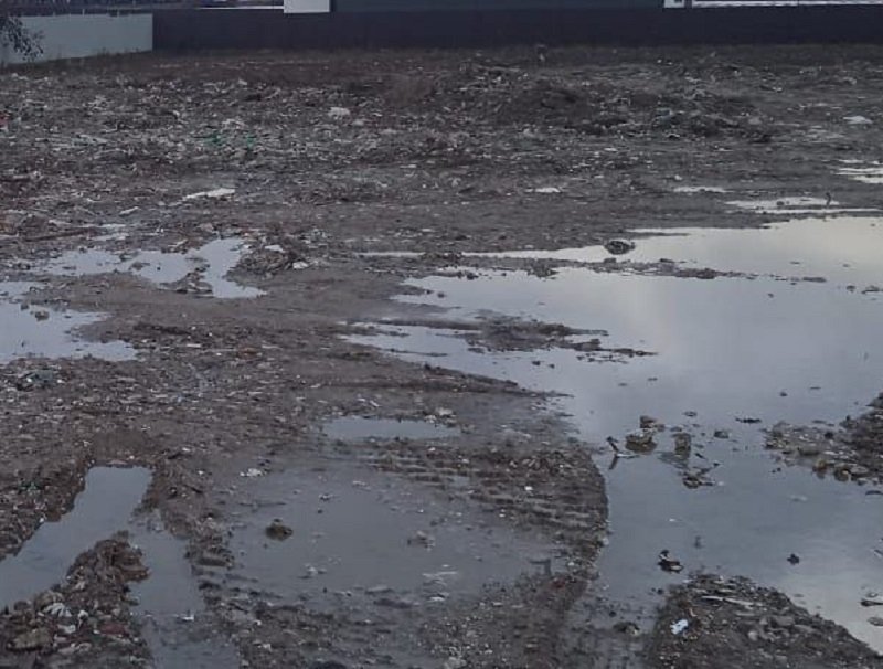 Свалка в Подмосковье Минэкология Московской области