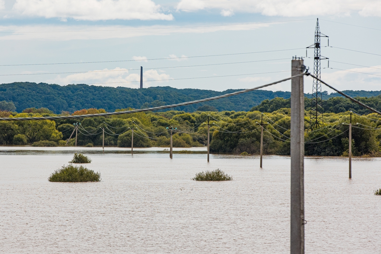 Тематическое фото Илья Аверьянов, ИА PrimaMedia.ru