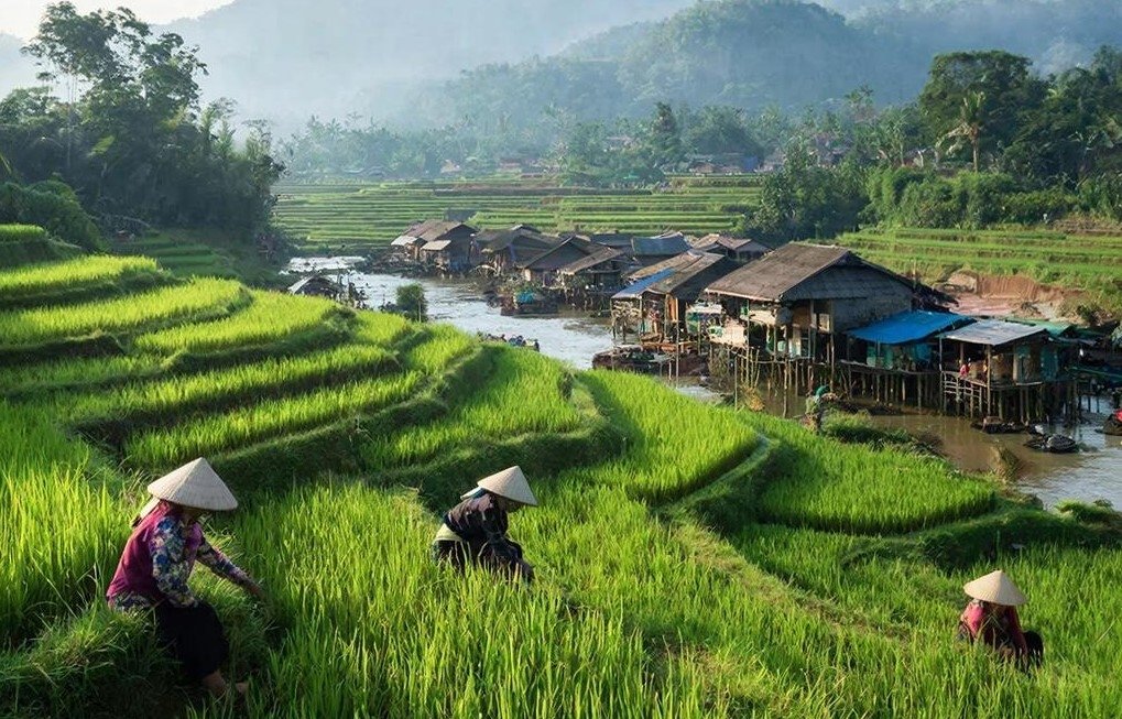 Стало известно, сколько придется потратить на отдых во Вьетнаме в 2026 году Создано с помощью ИИ