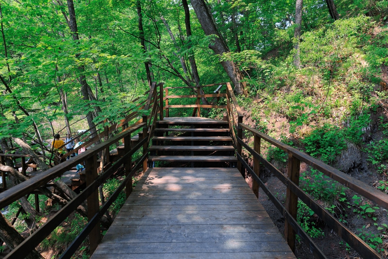 Тематическое фото Евгений  Кулешов, ИА PrimaMedia.ru