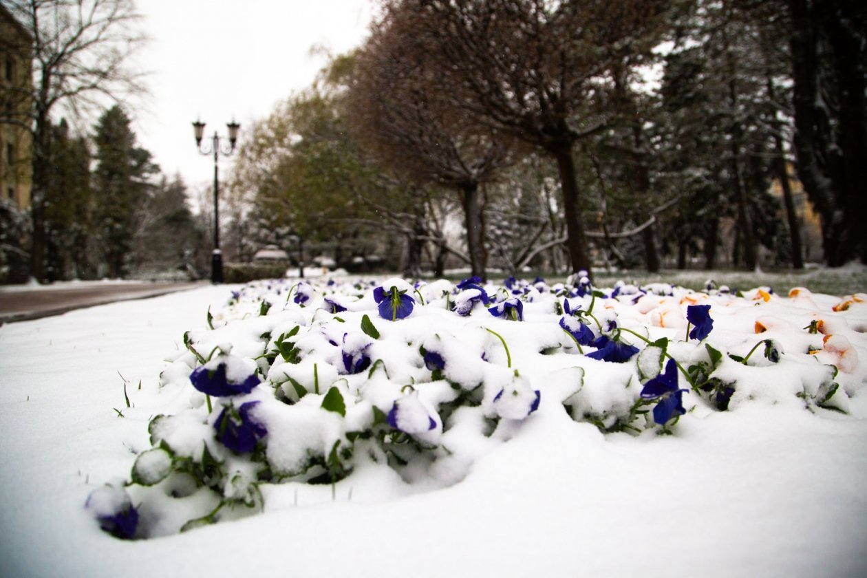 Снегопад в Москве Артём Хорошилов  , ИА Stavropol.Media