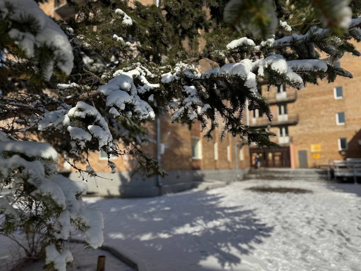 Тематическое фото Марина Кудрявцева, ИА UssurMedia.