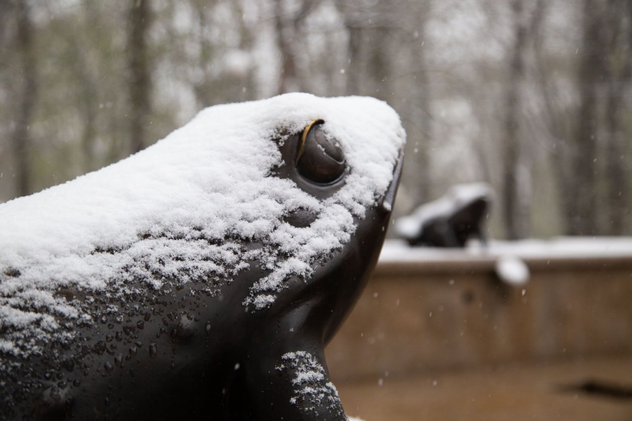 Тематическое фото Артём Хорошилов  , ИА Stavropol.Media