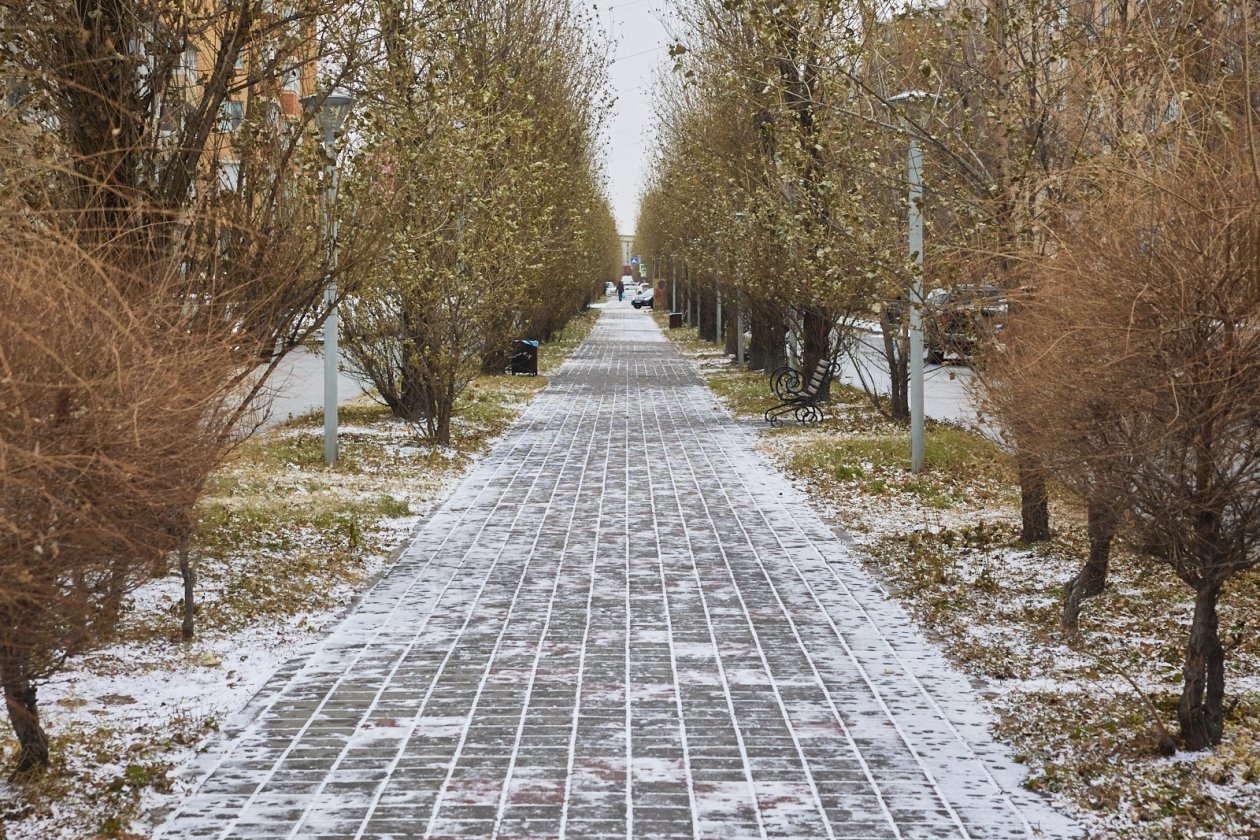 первый снег, снег Дмитрий Осипчук, ИА PrimaMedia