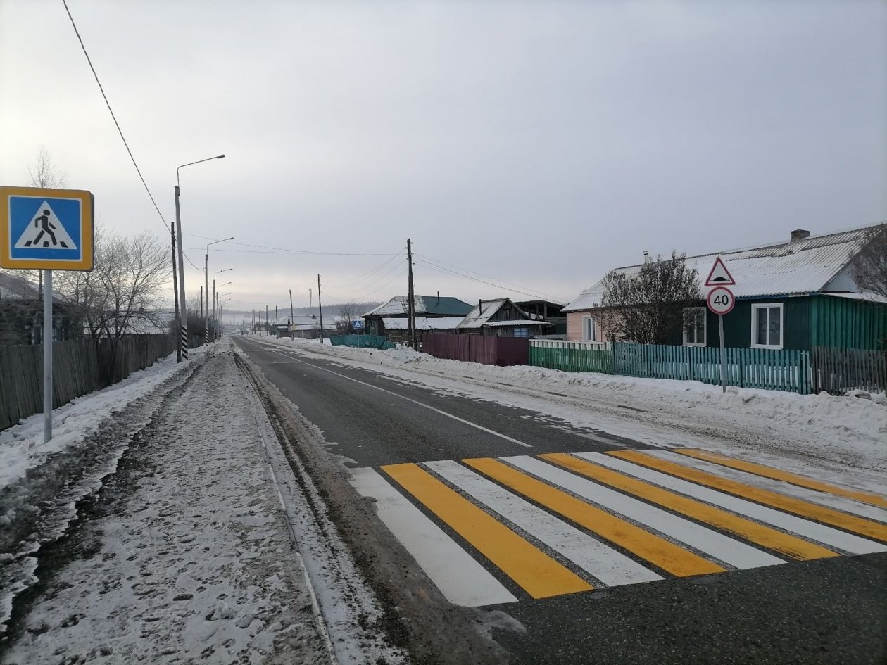 Зебра Анета  Абрамченко, ИА ChitaMedia