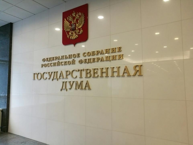 Госдума Ольга Кишаковская, ИА PrimaMedia