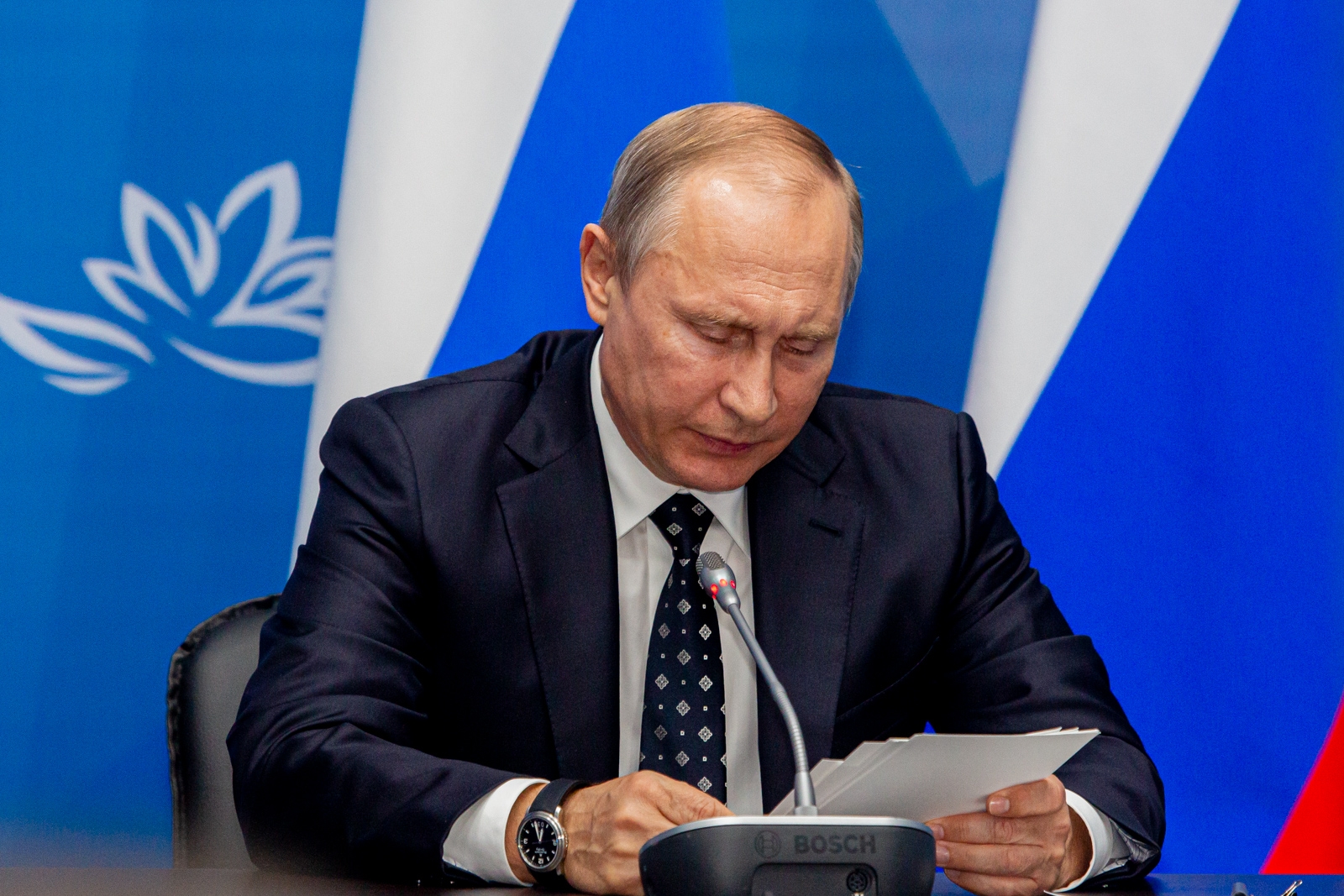 Владимир Путин, ВЭФ Мария Смитюк, ИА PrimaMedia