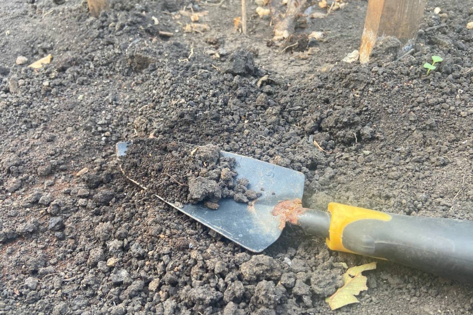 почва, грунт, земля, огород, сад, лопата Мария Карева, ИА Stavropol.Media