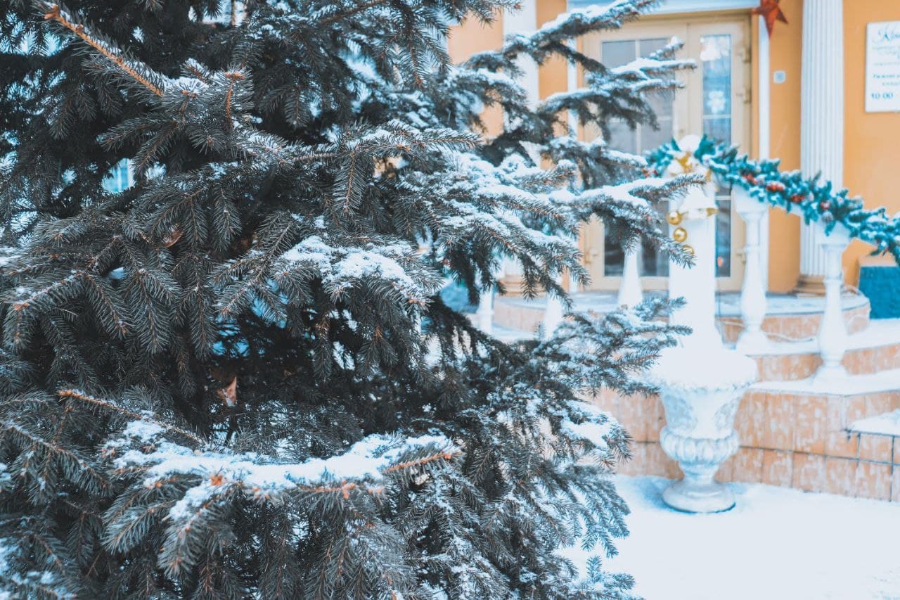 снег ИА ChitaMedia Анастасия Москалёва