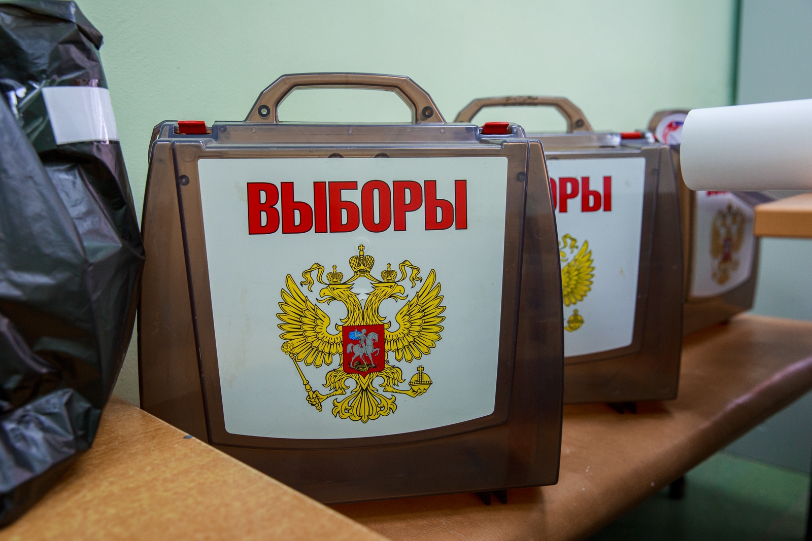 выборы, голосование Илья Аверьянов, ИА PrimaMedia